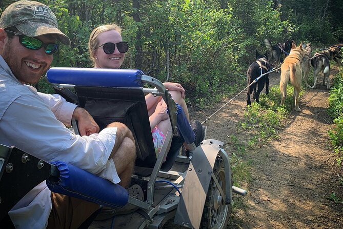 Summer Dog Sledding Adventure in Willow, Alaska - Common Questions