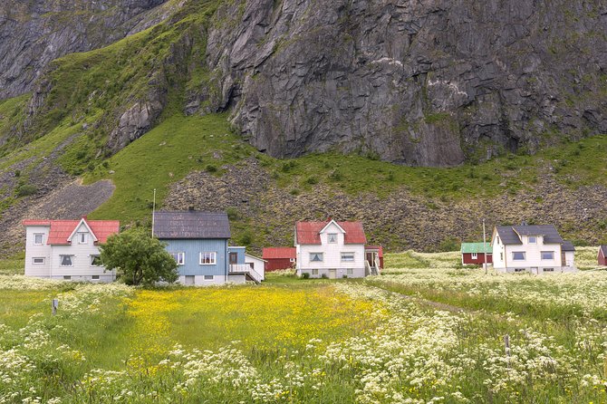 Summer Full-Day Guided Tour of the Lofoten Islands - Common Questions