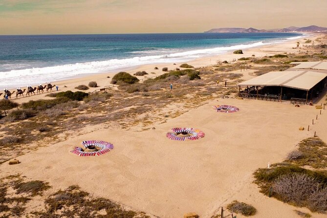 Sunset Beach Camel Ride With Mexican Buffet and Tequila Tasting - Common Questions