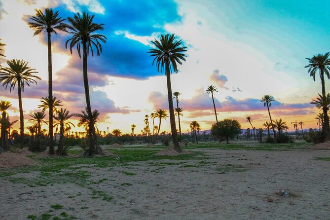 Sunset Camel Ride in the Palm Grove Of Marrakech - Common Questions