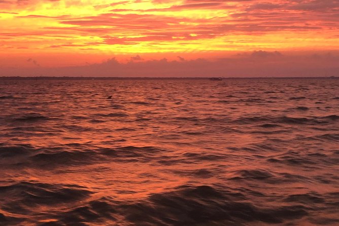 Sunset Dolphin Watching Cruise in Destin Harbor - The Sum Up