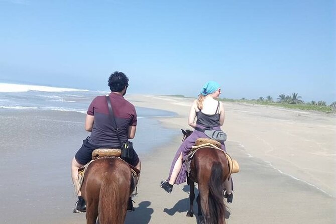 Sunset Horseback Ride for Small Groups Through Mazunte  - Puerto Escondido - Traveler Photos