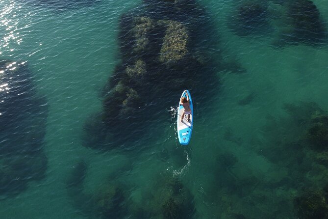 SUP Paddle Tour in Torre Salsa WWF Oasis Nature Reserve - Accessibility and Travel Recommendations