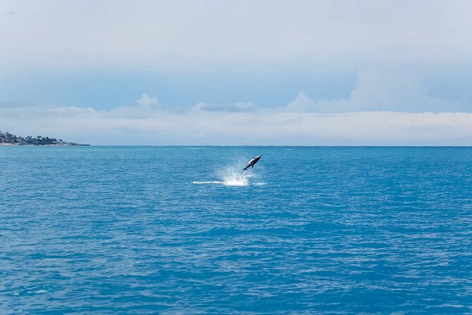 Swim With Dolphins & Turtles in West Oahu (Semi-Private Tours) - Convenient Restroom on Board