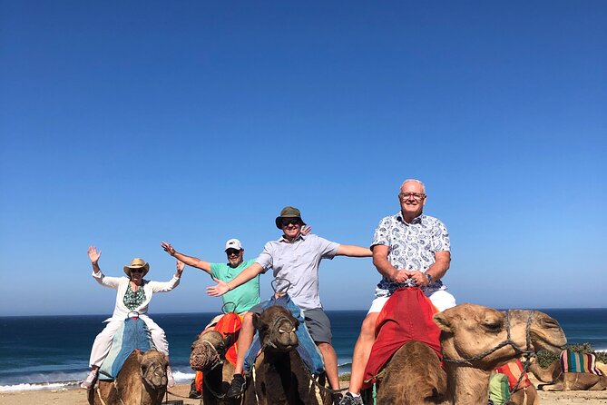 Tangier Day Trip :Old Medina&Kasbah , Caves & Camel Ride Included - Overview of Tangier Day Trip