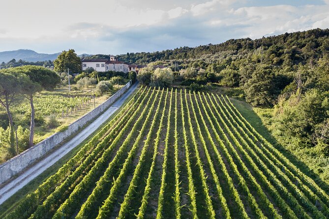Tenuta Mareli - Wine Tasting in Tuscany - Common Questions