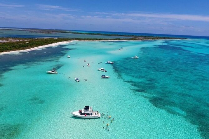 The Best Cozumel Snorkeling Tour Palancar, Colombia and El Cielo Reefs - The Sum Up