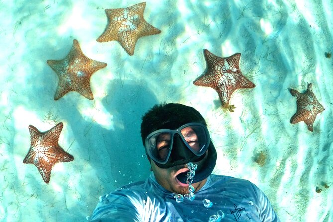 The Cozumel Turtle Sanctuary Snorkel Tour - Common Questions