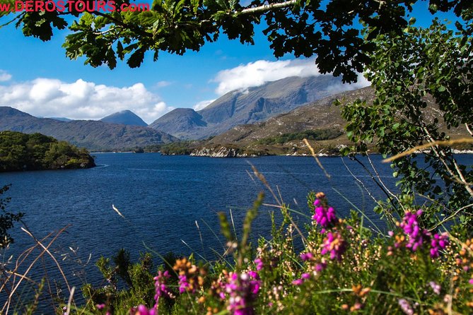 The Gap of Dunloe Full-Day Tour From Killarney - Common Questions