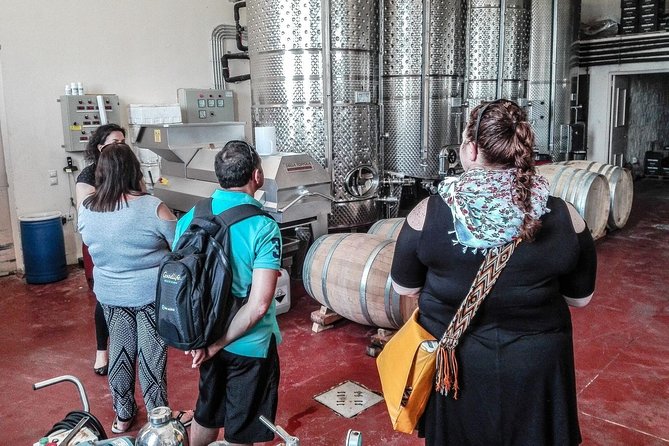 The Gourmet Wine Tour of Heraklion Area - Visited Two Wineries With Facility Tours and Tastings