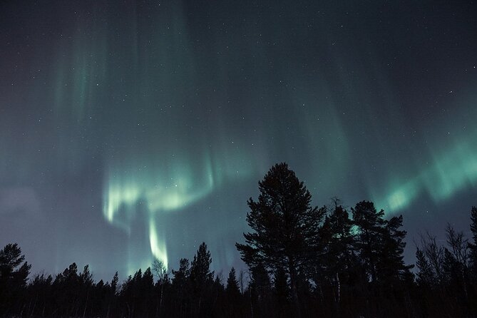 The Longest Northern Lights Tour in Abisko With Dinner - Common Questions