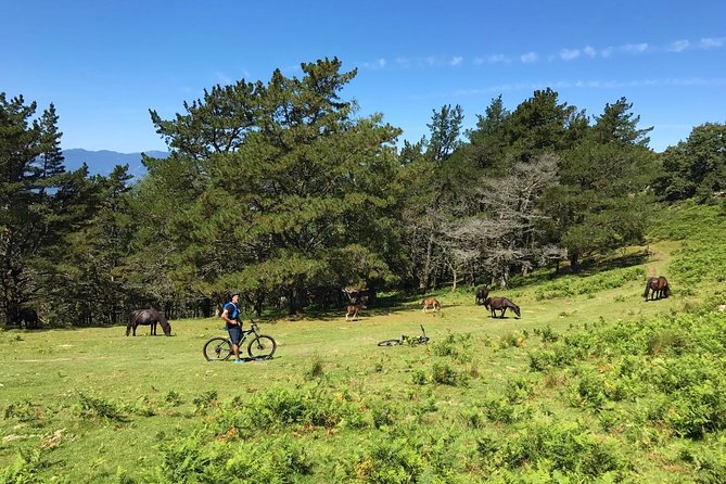 The Train Track Trail Mountain Bike Ride - Private Experience - Common Questions