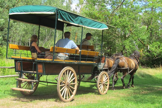 The Ultimate Anne of Green Gables Private Tour - Tour Inclusions