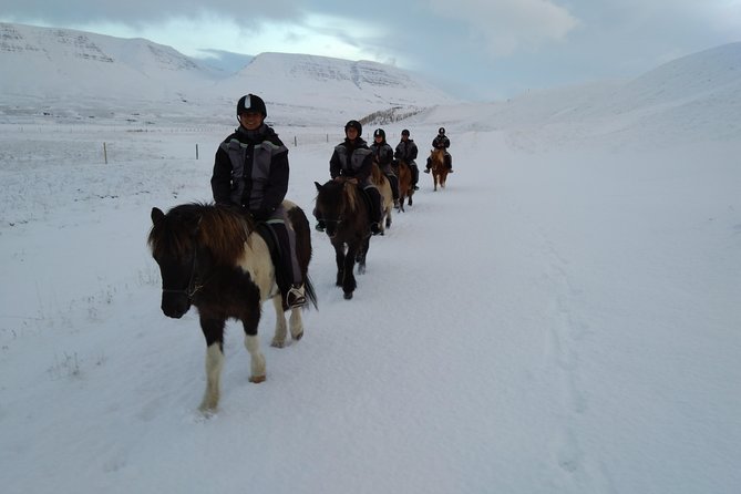 The Viking North Iceland Horse Riding in Winter Experience - The Sum Up