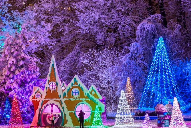 Toronto: Niagara Falls Festival of Lights All Inclusive Tour - Common Questions
