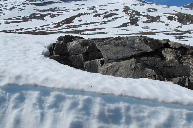 Tour From Alesund to Trollstigen Land of Trolls With Transfer - Suggestions for Improvement