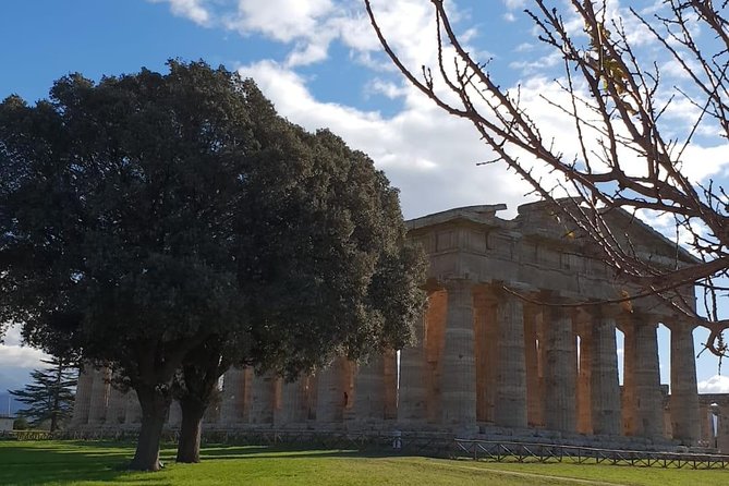 Tour in the Ruins of Paestum With an Archaeologist - The Sum Up