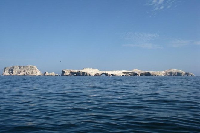 Tour to Ballestas Islands in Paracas - The Sum Up