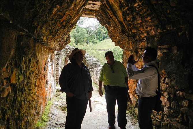 Tour to Palenque and Cascada De Misol Ha - Terms & Conditions