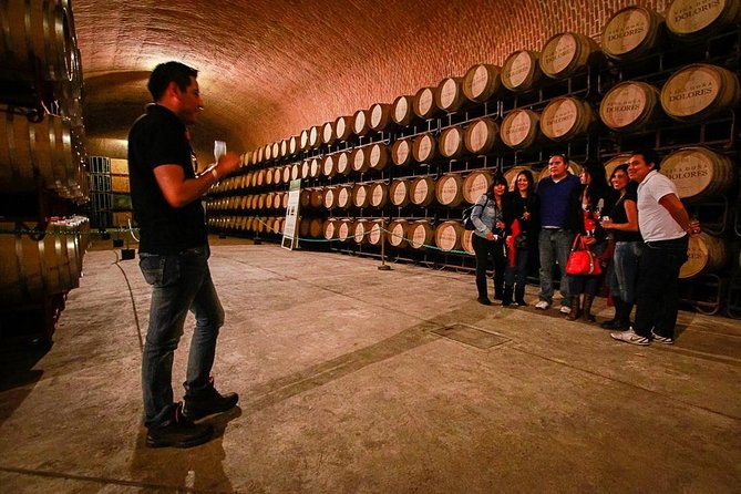 Traditional Cheese and Wine Route in English, Departing From Queretaro - The Sum Up