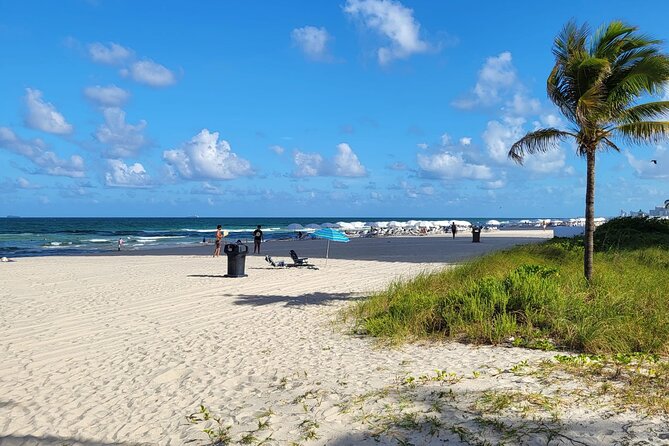 Transfer From Miami Airport to Miami Hotel or Port of Miami. - Common Questions