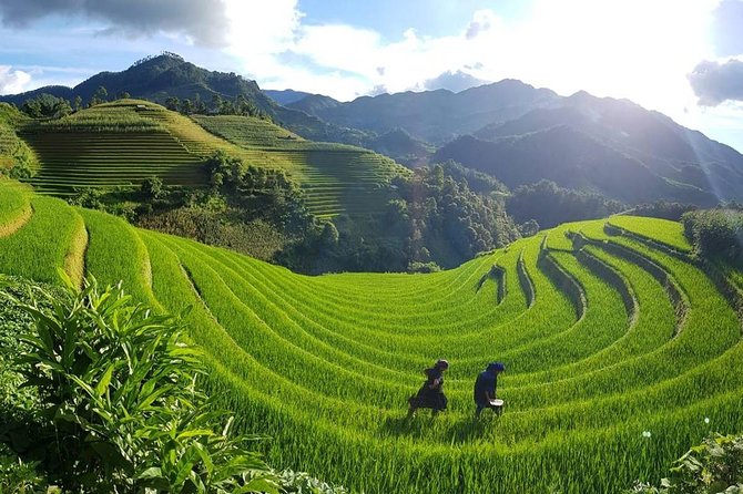 Trekking the Northern Trails of Vietnam 9 Days 8 Nights - Day 7: Return to Hanoi and Departure