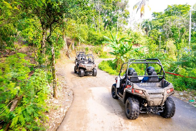 Triple Fun! Monkeyland Damajagua Waterfalls Buggies From Puerto Plata - Mandatory Requirements and Language Options