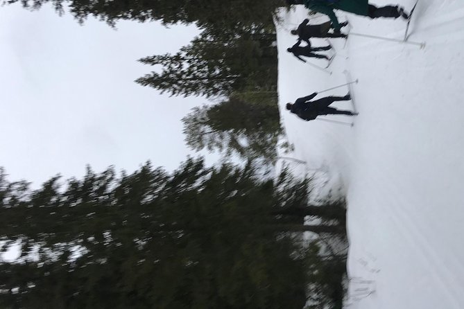 Trondheim Small-Group Cross-Country Skiing Adventure - Common Questions