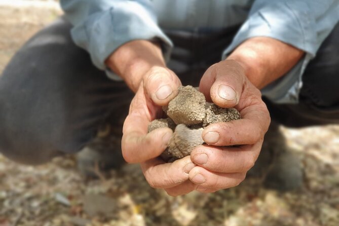 Truffle Hunting, Culinary & Wine Celebration From Elounda - Common Questions