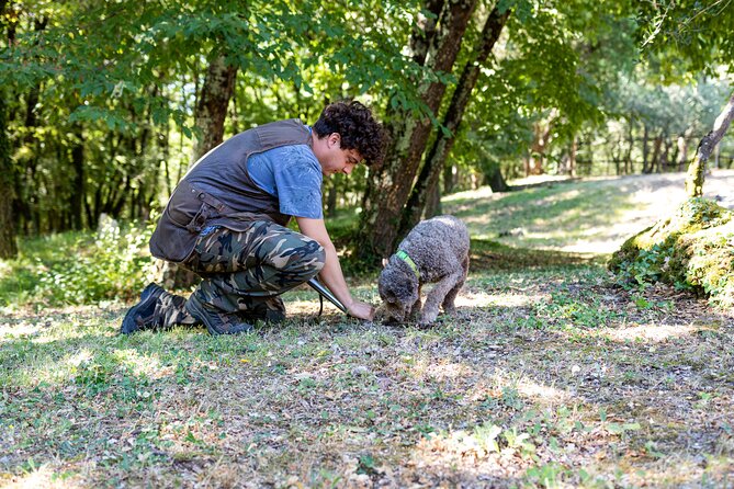 Truffle Lunch & Hunting Experience in San Gimignano - What to Expect and Requirements