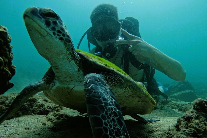 Try Scuba Diving & Snorkeling With BBQ Lunch & Transfer - Scuba Diving Locations