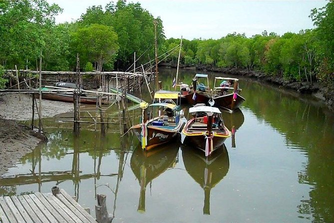 Tung Yee Peng Mangrove Forest Tour By Longtail Boat From Koh Lanta - The Sum Up