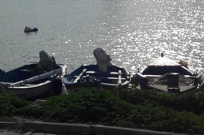 Tunis, Carthage and Sidi Bou Said Self-Guided Excursion From Hammamet - Common Questions
