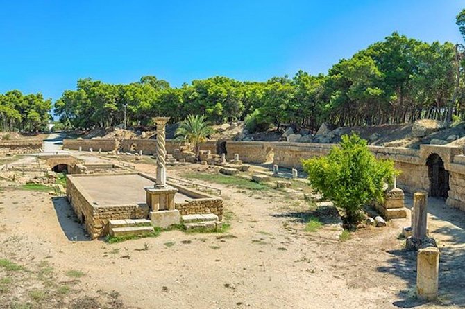 Tunis: Carthage, Bardo Museum, Sidi Bou Said and Medina Day Tour - Common Questions