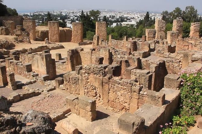 Tunis, Sidi Bousaid and Carthage Day Trip From Hammamet - Recommendations and Reviews From Travelers