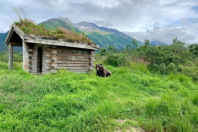 Turnagain Arm Sightseeing Experience and Wildlife Tour - The Sum Up