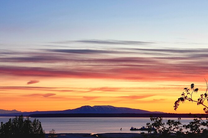 Ultimate Anchorage Winter Wildlife & Sunset Tour - Expert Guides