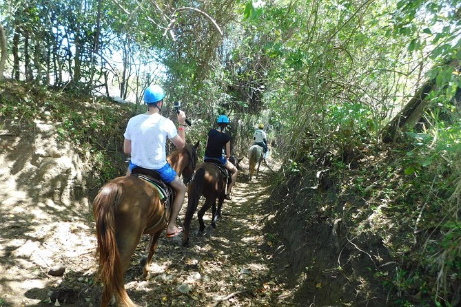 V.I.P. DayPass: ATV, Zip Lines, Horseback Riding & Pool Zip N Splash - ATV Tour