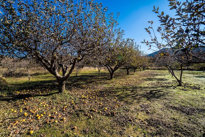 V.I.P. Safari in Krousonas Psiloritis - Questions and Support