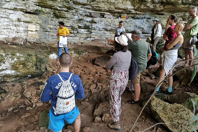 Valladolid Mayan Bees Tour With Lunch or Breakfast and Honey Tasting - Traveler Photos and Reviews