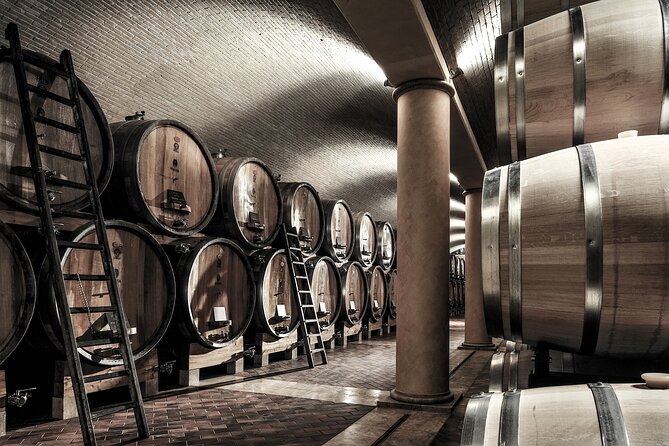 Valpolicella Wine Tasting Experience & Light Lunch - The Sum Up