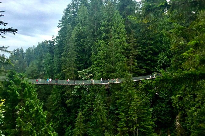 Vancouver Capilano Canyon Light and Peak of Christmas in Grouse Mountain - Tips for Making the Most of Your Visit to Capilano Canyon Light and Peak of Christmas in Grouse Mountain