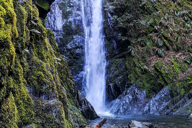 Vancouver Island Rainforest Guided Hike With Private Guide - Directions