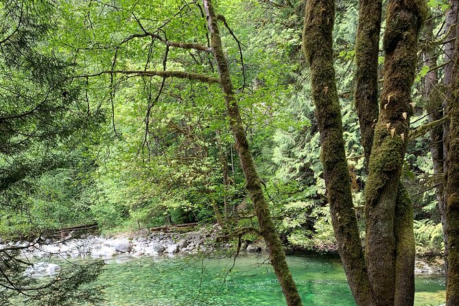 Vancouver Rainforest Hike With Waterfalls, Suspension Bridge, Old Growth Forest - Directions