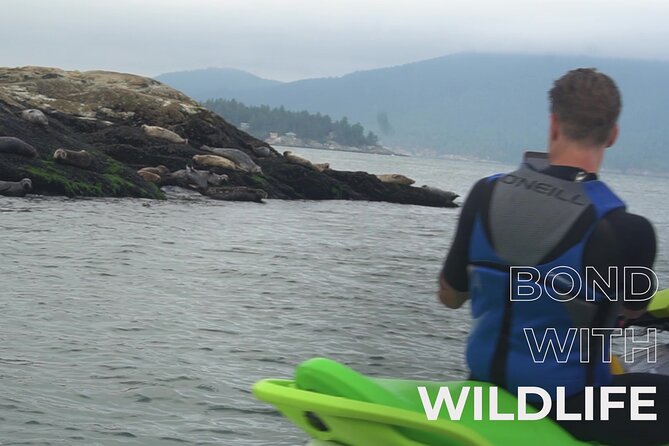 Vancouver to English Bay and Howe Sound Jet Ski Tour - Additional Information