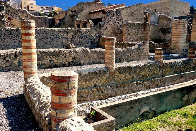 Vesuvius and Herculaneum Day Trip From Naples With Skip the Line - Pickup and Transfer Organization