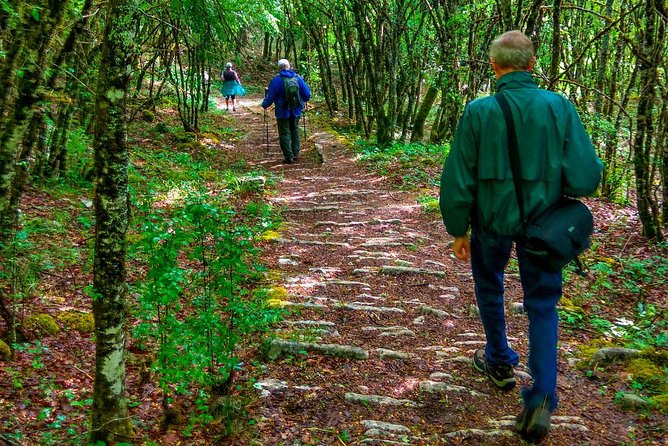 Vickos-Aoös National Park 3-Day Hiking Adventure  - Epirus - Local Cuisine and Dining Options