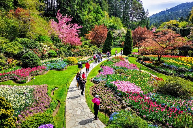 Victoria City and Butchart Gardens Private Half-Day Tour - Terrific and Knowledgeable Tour Guide