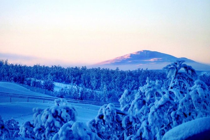 Views Over Lapland by Snowmobile and Visit the Reindeer - Booking Details
