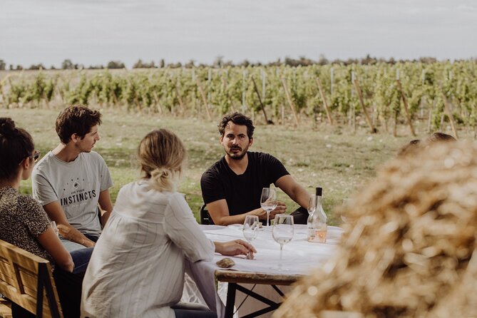 Vineyard Tour and Wine Tasting in Davron - Tour Highlights and Itinerary